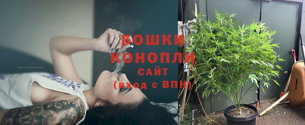 трава Магадан