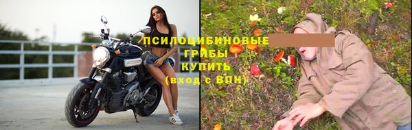 трава Магадан